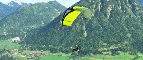 Livery FL Paramotor Falcon - green / black