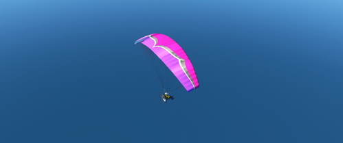 Livery FL Paramotor Falcon - Ozon pink