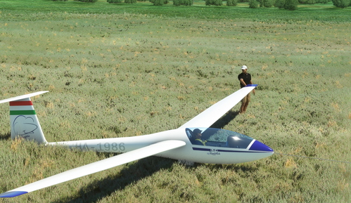 Ls4 Glider MAV flying club Fantasy hungarian livery. Rolladen-Schneider LS4