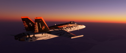 Marine All Weather Fighter Attack Squadron 224 VMFA(AW)224 F-18C CAG Liveries