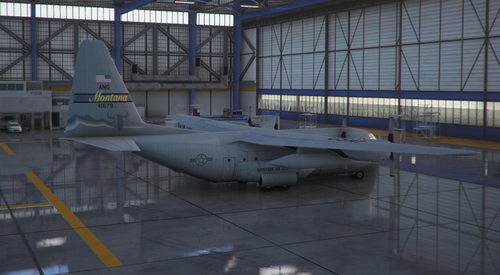 Montana ANG C130 Paint
