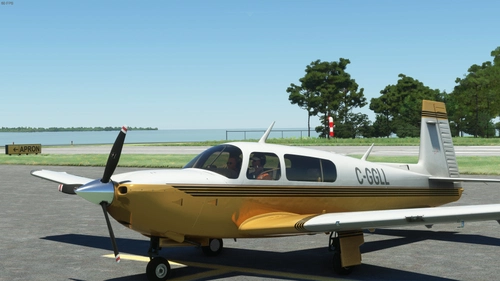 Mooney M20R Ovation "Goldfinger" Registration C-GGLL