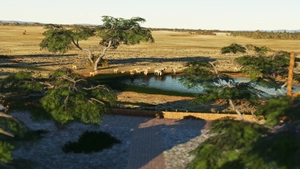 Okaukuejo-Waterhole + FYOO airport  thumbnail 4