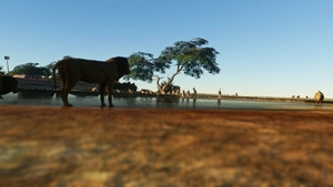 Okaukuejo-Waterhole + FYOO airport  thumbnail 5