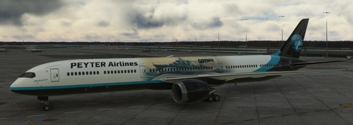 PEYTER Airlines [Heavy Devision]  Boeing 787  Drimliner