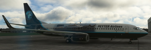 PEYTER Airlines [PMDG] Boeing 737-800 & 737-800SSW