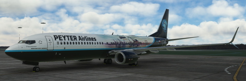 PEYTER Airlines [PMDG] Boeing 737-900ER