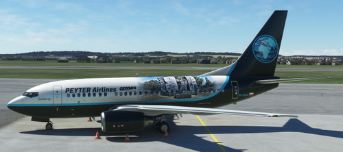 PEYTER Airlines [PMDG] Boeing 737-600