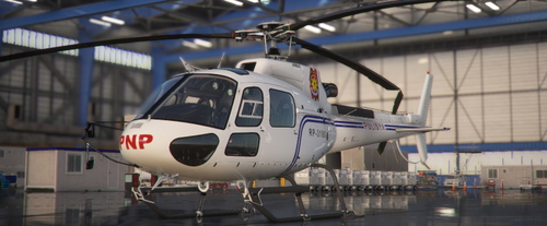 PHILIPPINES NATIONAL POLICE LIVERY