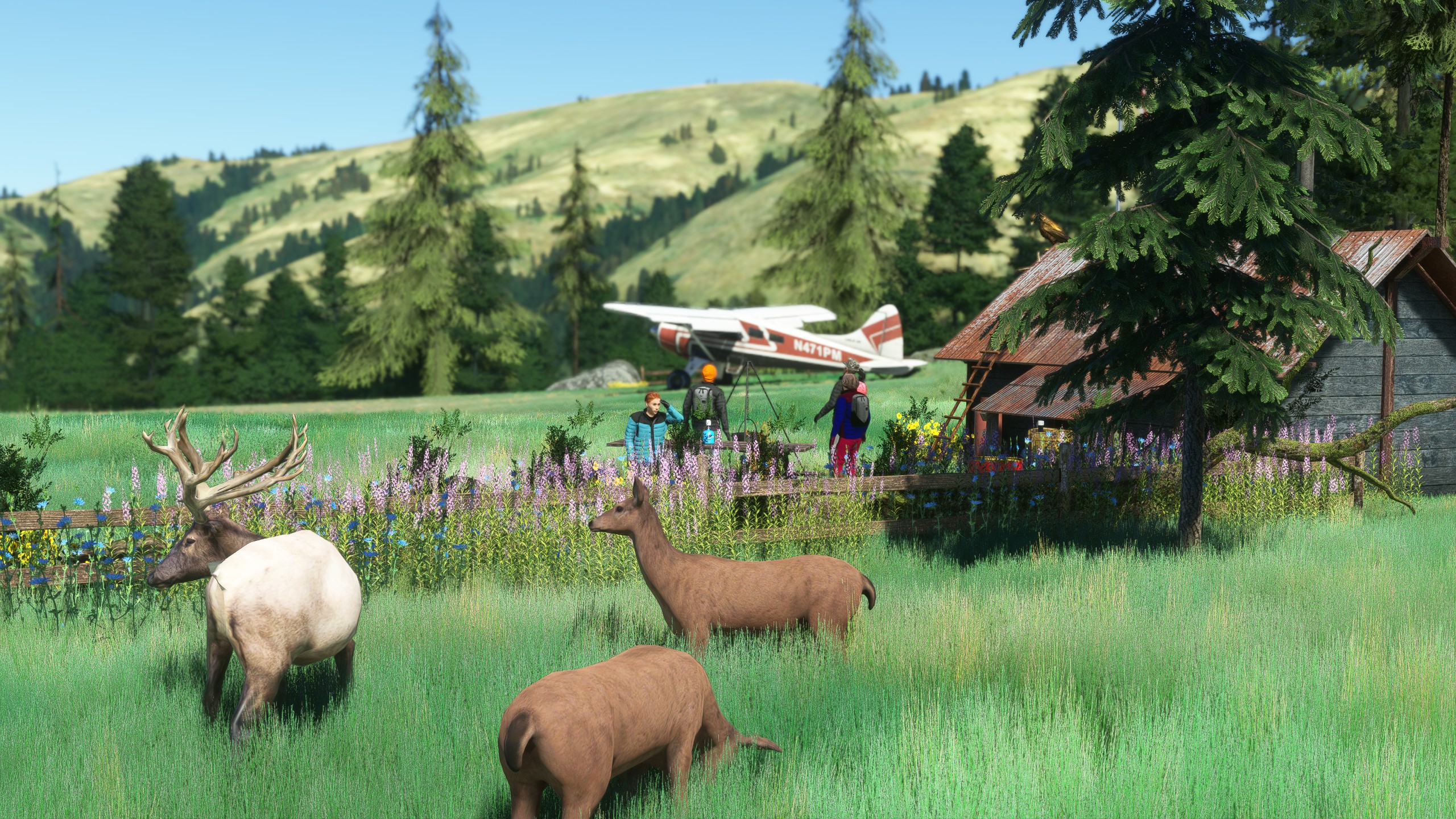 Pinnacle airstrip - 0ID8 - Image 1