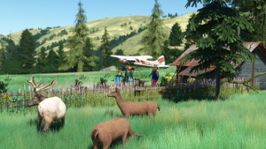 Pinnacle airstrip - 0ID8 thumbnail 1