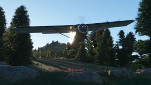 Pinnacle airstrip - 0ID8 thumbnail 3