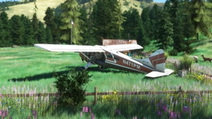 Pinnacle airstrip - 0ID8 thumbnail 5