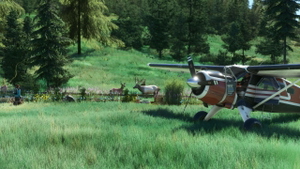 Pinnacle airstrip - 0ID8 thumbnail 6