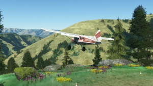 Pinnacle airstrip - 0ID8 thumbnail 7