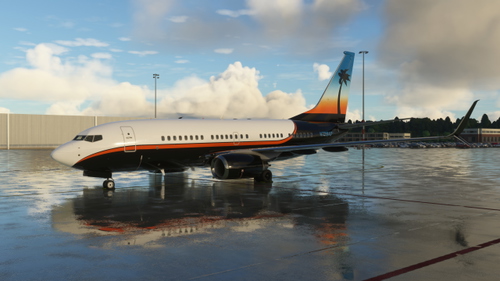 PMDG 737-700BBJ N728AP (Fictional)