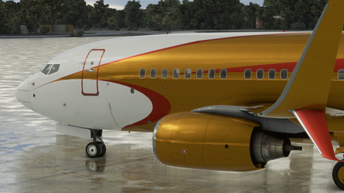 PMDG 737-700BBJ N808TY (Fictional)