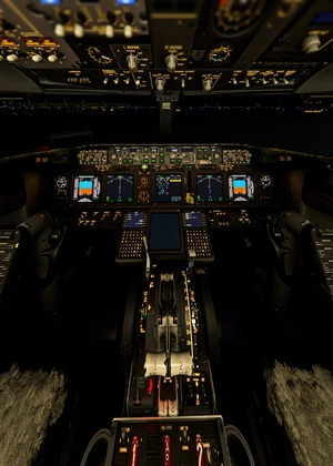 PMDG 737 800 4K & HD Wear and Tear Textures | JOIN DISCORD FOR ALL UPDATES AND VARIANTS thumbnail 7