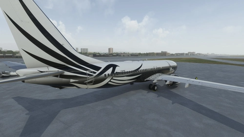 PMDG 737-800 BBJ2 "Birds" (N533BZ)