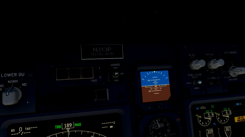 PMDG 737-800 CIA Rendition (N313P) for Microsoft Flight Simulator | MSFS