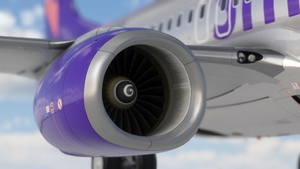 PMDG 737-800 Smartavia thumbnail 3