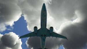 PMDG 737-800 WestJet Walt Disney World - Frozen Livery(Fictional) thumbnail 8