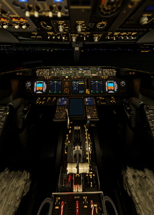 PMDG 737 900 4K & HD Wear and Tear Textures | JOIN DISCORD FOR ALL UPDATES AND VARIANTS thumbnail 2