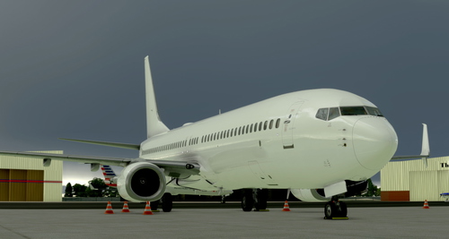 PMDG 737-900 All White BW/SSW
