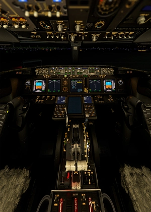 PMDG 737 700 4K & HD Wear and Tear Textures | JOIN DISCORD FOR ALL UPDATES AND VARIANTS | thumbnail 3