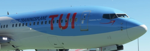 PMDG Boeing 737-800 SSW TUI Pilots Trainingsplane OO-TUP