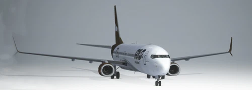 PMDG Boeing 737-900 - Gold Virtual Airlines - 10 Years
