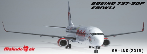 PMDG Boeing 737-900ER Malindo Air (9M-LNK | 2019 | Visit Malaysia Years 2020)