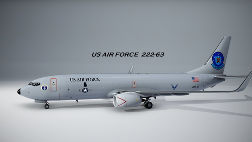 PMDG Variation of Air Force Support B738