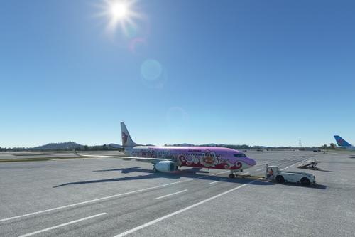 [PMDG737-800]Air China Peony B-5177