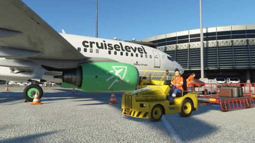 PMDG 737-600 | cruiselevel VA [D-ABFH]