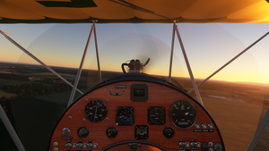 Pou du ciel HM293 thumbnail 3