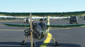 Pou du ciel HM293 thumbnail 4