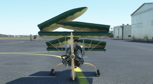 Pou du ciel HM293 thumbnail 5