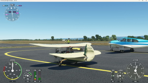Pou du ciel HM293 thumbnail 6