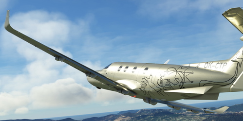 Private PC-12 OK-CTP
