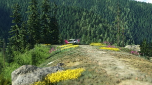 Riggins Ridgetop 69ID and Kelly Creek Ridge KCR6 thumbnail 7