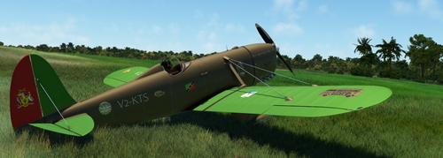 Ryan ST-A brown green StKitts V2-KTS