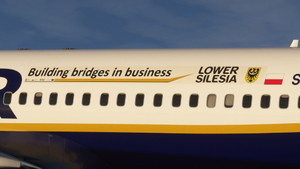 Ryanair [Package] w/Cabin PMDG B737-800 thumbnail 8