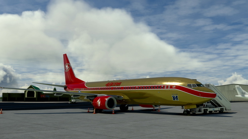 San Francisco 49ers 737-800 *Fictional*