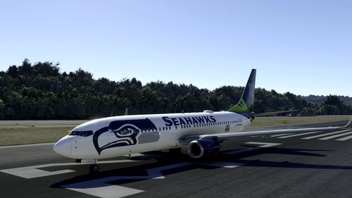 Seattle Seahawks 737-800 *Fictional*