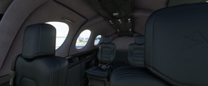 SF50 Vision Jet G2 N292JP & Custom reg. thumbnail 6