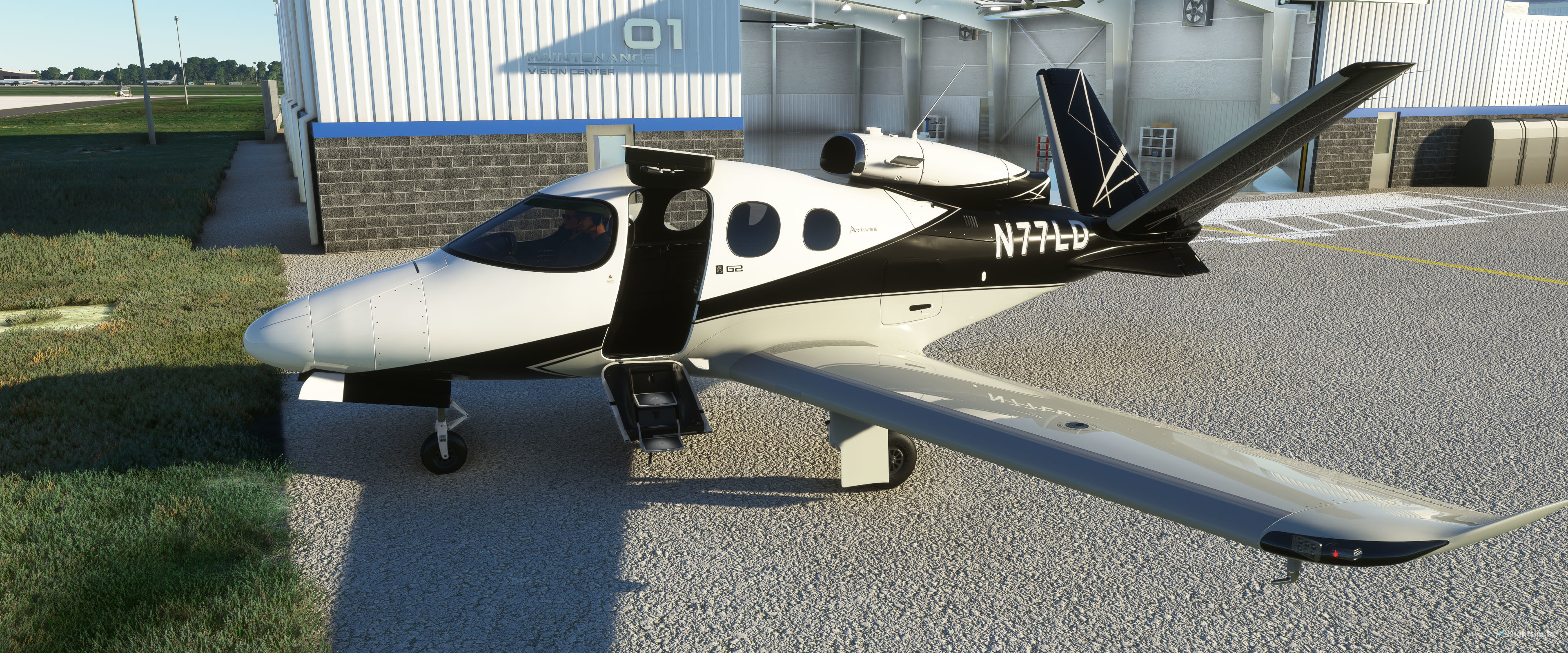 SF50 Vision Jet G2 N77LD & Custom reg. - Image 1