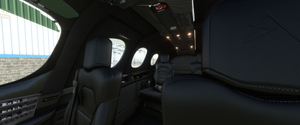 SF50 Vision Jet G2 N77LD & Custom reg. thumbnail 6
