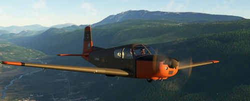 SIAI-Marchetti S205 I-RVNA brown-orange