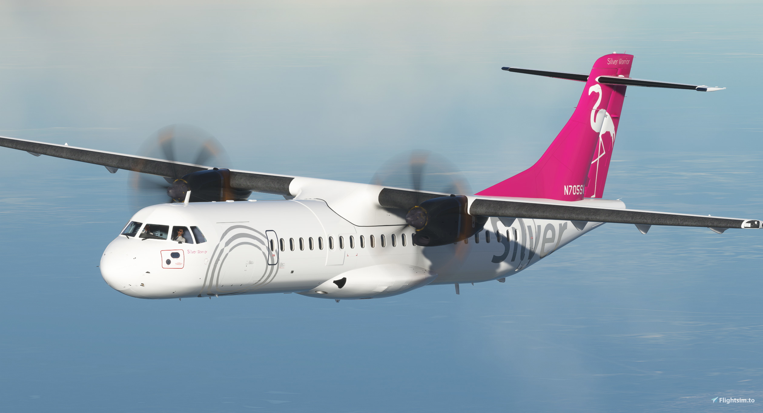 Silver Airways (N705SV) - Asobo ATR 72-600 - Image 1